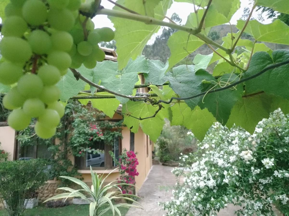 Quinta Da Pedra Do Elefante Holiday home *