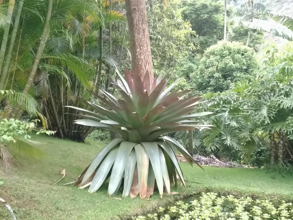 Quinta Da Pedra Do Elefante Holiday home