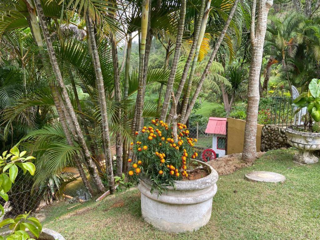 Holiday home Quinta Da Pedra Do Elefante *