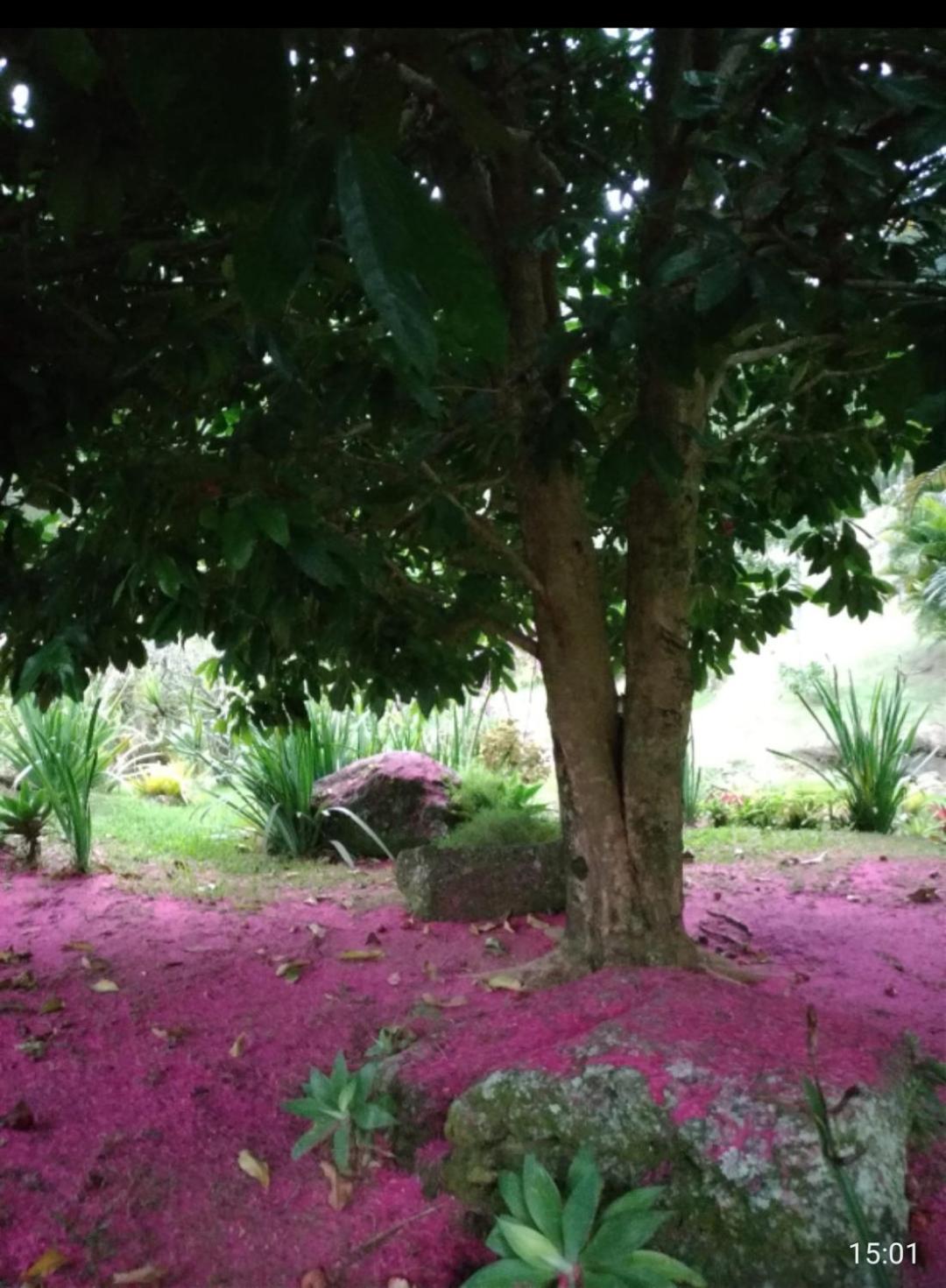 Quinta Da Pedra Do Elefante Petropolis (Rio de Janeiro)