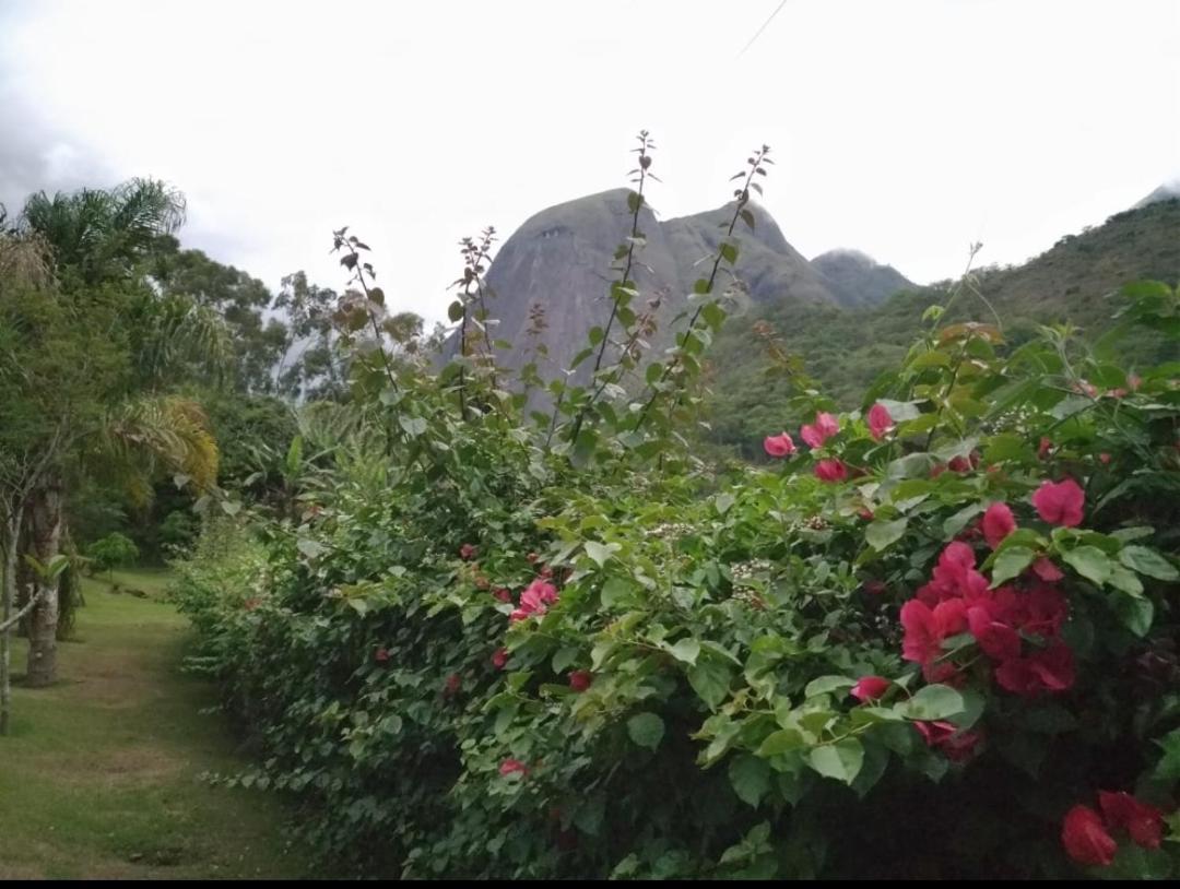 Quinta Da Pedra Do Elefante Holiday home *