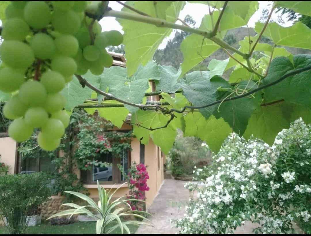 Holiday home Quinta Da Pedra Do Elefante *