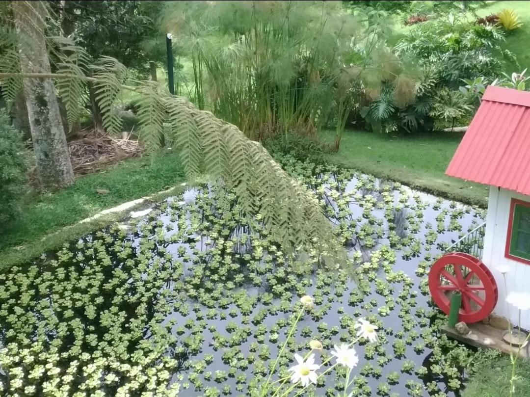 Quinta Da Pedra Do Elefante * Petropolis (Rio de Janeiro)