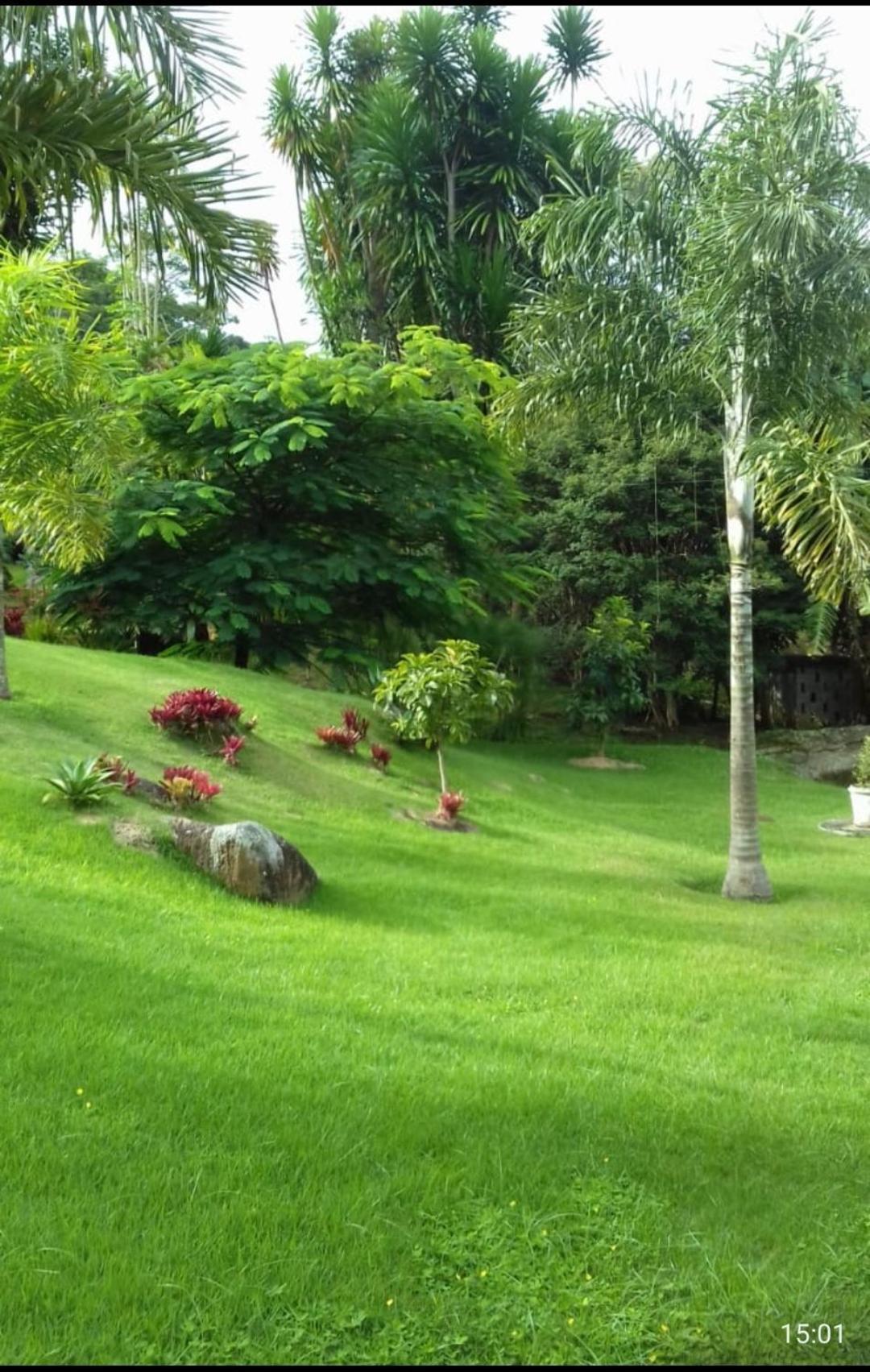 Quinta Da Pedra Do Elefante *